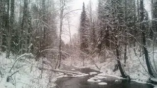 2017 начало зимы Конёво