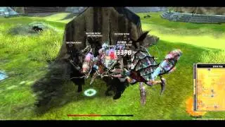 Platin SRO - TigerGirl (Titan) + Captain Ivy