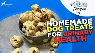 Recipe: Homemade Dog Treats for Urinary Health