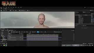 MetaHuman Bind DNA Editor