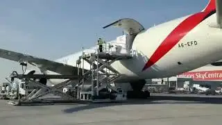 Emirate sky Cargo goods preparation - Emirate Cargo Flight