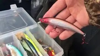 Fishing for Pike on the Gloucester Canal (My first video)