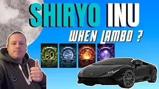 SHIRYO INU IS GOING TO BE HUGE IN 2022 | BIG NEWS AND LAMBOS