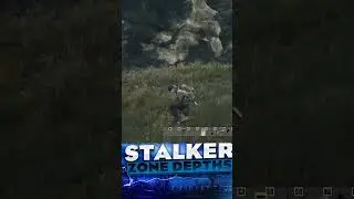 DayZ Башира учит не нарушать тишину #рекомендации #dayz #shorts