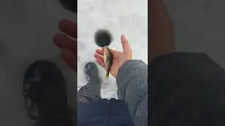 думал там рыба покрупнее а там такой ёрш. 