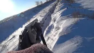 New Year's Hare Hunt