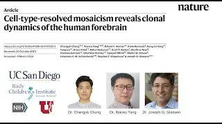 Nature: Cell-type-resolved mosaicism reveals clonal dynamics of the human forebrain