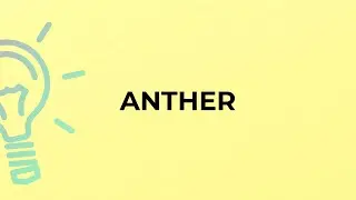 What is the meaning of the word ANTHER?