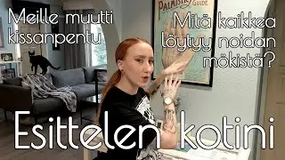 Kettunoidan kotona