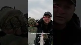 🎣Wist - український виробник силіконових приманок 👉Замовляйте на сайті: https://wist.com.ua