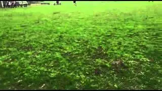 Gol Rayo Santa Cruz