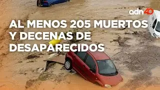 España está devastada por la DANA: al menos 205 muertos y decenas de desaparecidos