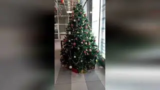 16 декабря 2023 г.