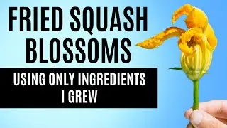 Fried Squash Blossoms Using Only Ingredients I Grew | Self Produced Homestead Meal | Garden To Table