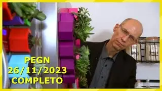 Pequenas Empresas  Grandes Negócios 26/11/2023 - PEGN COMPLETO