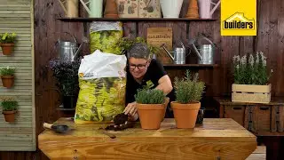 Garden Master: Ornamental Mix, Everything You Need To Know