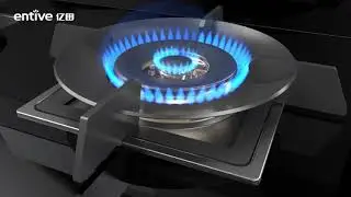 Entive Steam and Roast integrated cooker S8GS