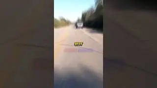 Байкер нашёл РОЛЕКСЫ 😧