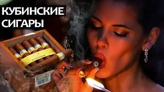 Кубинские сигары. Почему они такие дорогие.