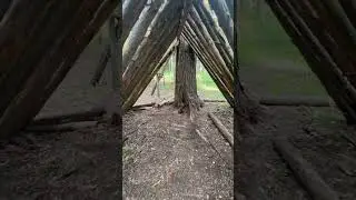 Коттедж в лесу