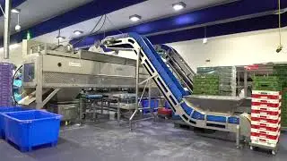 Машина для обвалки грудки MAX 6000 Foodmate