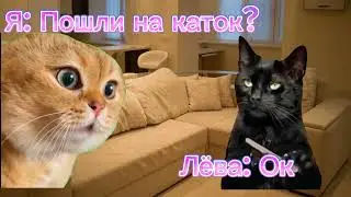 Как я попала в больницу. 10 часть (ПОСЛЕДНЯЯ!!!!) 🐱🐱🐱 идея @miakotikoman