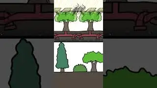Money really does grow on trees!