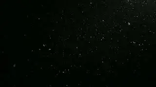 20211203 191859