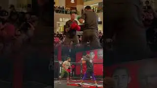 Хамзат борз и Шара буллет