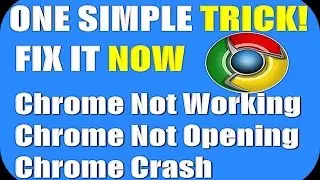 Google Chrome Delay Fix