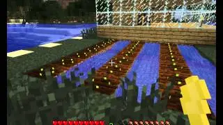 Minecraft SEX MOD