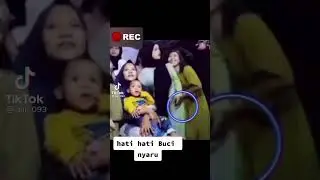 Tik Tok Viral... Di sodok Dulu