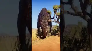 Iguanodon grasing - PK