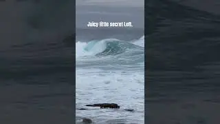 Sketchy wave in sharky waters 
