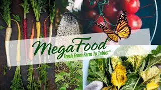 MegaFood Whole Food Nutritional Supplements
