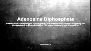Medical vocabulary: What does Adenosine Diphosphate mean