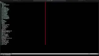 Terminal Vim on Mac - NetRW Weirdness