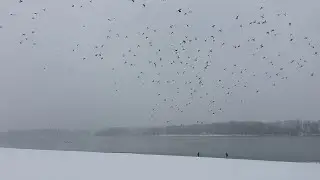 Иртыш 15.11.2020