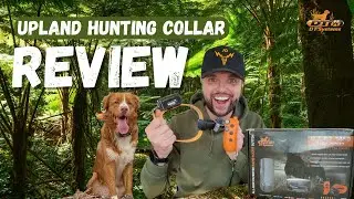 Field Gear for Tollers: Upland Hunting DT Sytems Dog Collar Put to the Test!