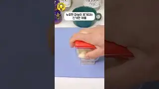 누르면 마늘이 쪼개지는 신기한 제품. #shorts