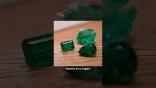 Зачем изумруды погружают в кедровое масло? 
