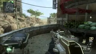 Perritos, Perritos Buenos - Black Ops 2