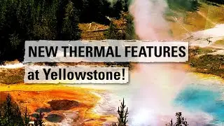 NEW THERMAL FEATURES at Yellowstone! (Yellowstone Volcano Update, July 2023)