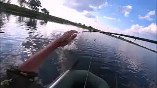 Змееголов