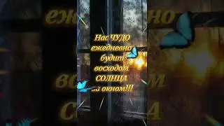 Доброе субботнее утро!