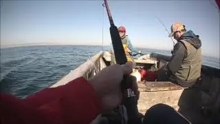 Pesca de sierras trolling, fails jojo.