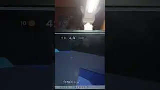 да я люблю киша💕💕