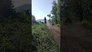 Алтай🔥 #enduro #enduroteam54 #regulmoto #рек #эндуро #dirtbike #shorts #stunt #mountains