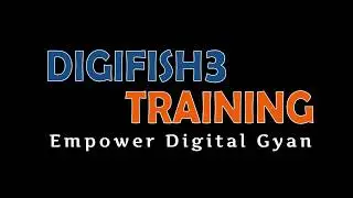 Digital Marketing Training Review - Digifish3