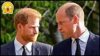 HARRY AND WILLIAM'S RELATIONSHIP IS NOW 